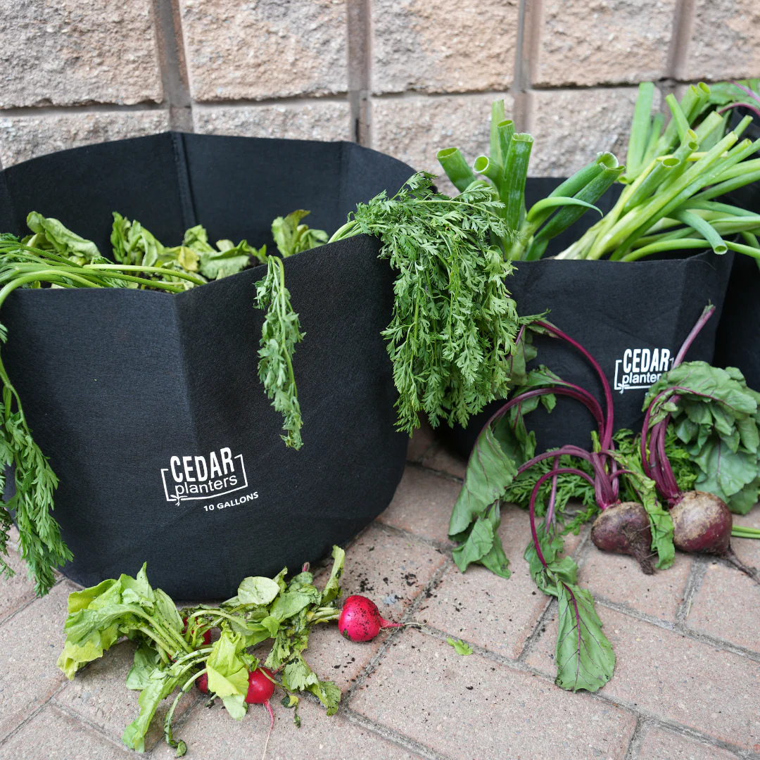 Grow Bag (10 Gallon) - Image 3