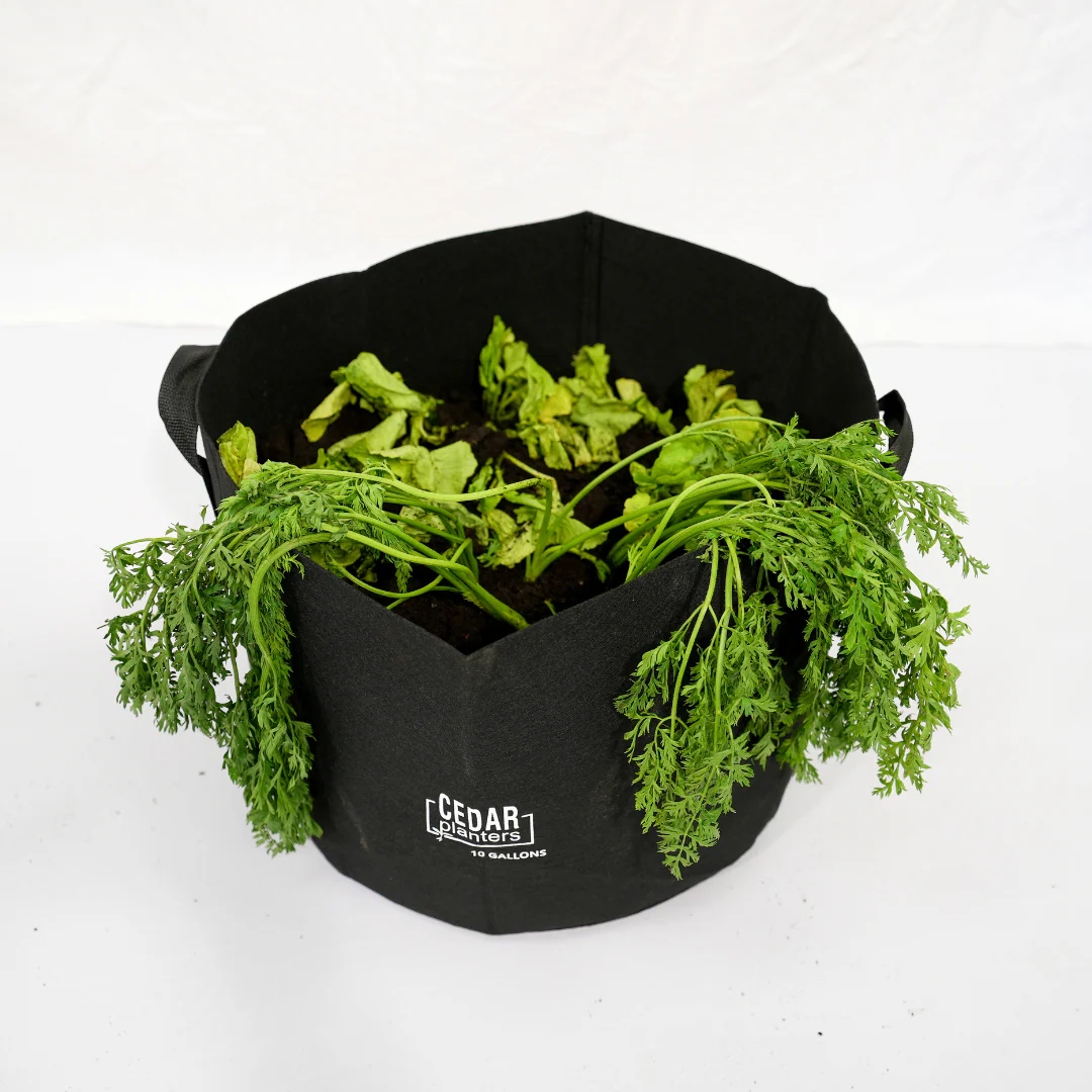 Grow Bag (10 Gallon) - Image 4