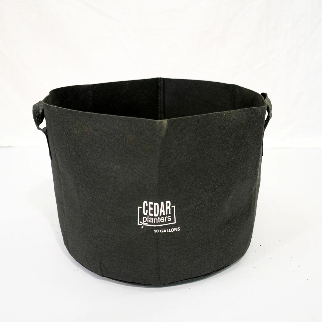 Grow Bag (10 Gallon) - Image 5