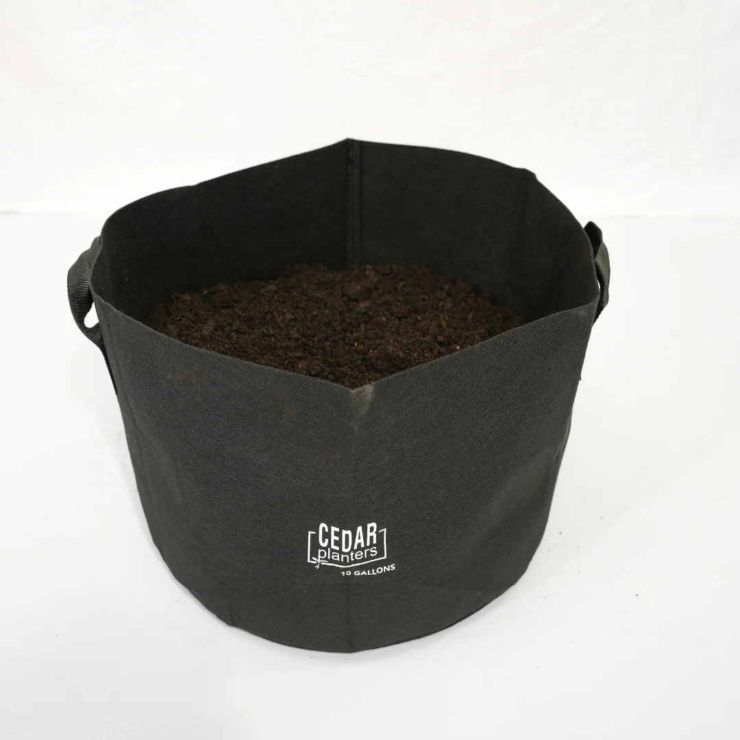 Grow Bag (10 Gallon) - Image 6