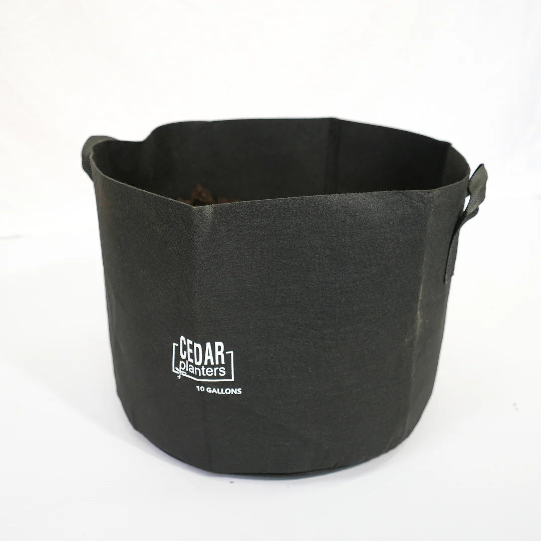 Grow Bag (10 Gallon) - Image 8