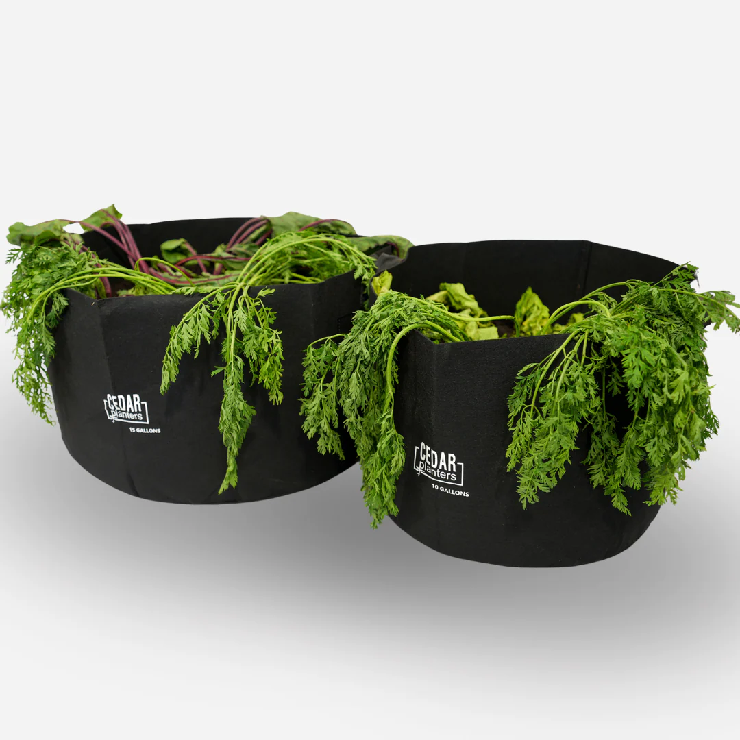 Grow Bag (10 Gallon) - Image 9