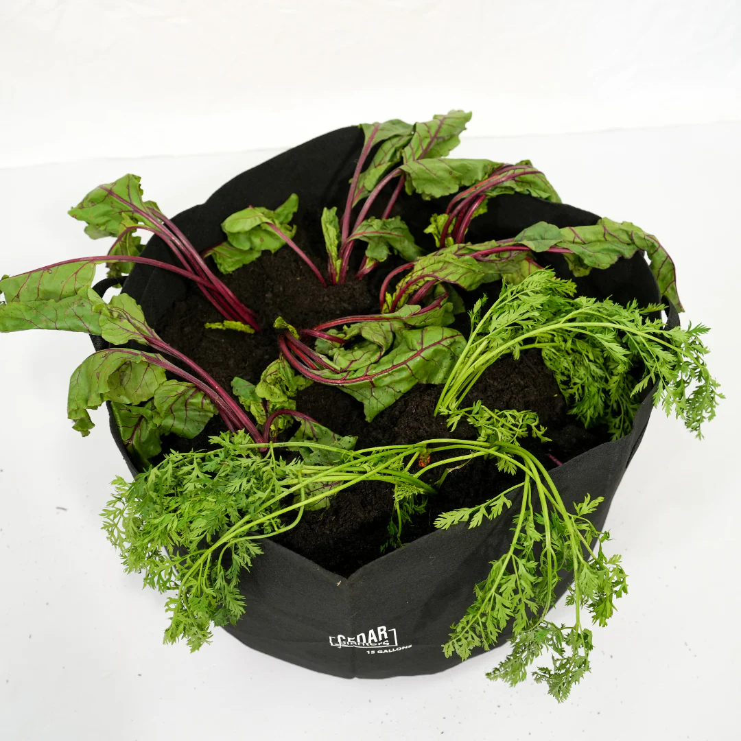 Grow Bag (15 Gallon) - Image 3