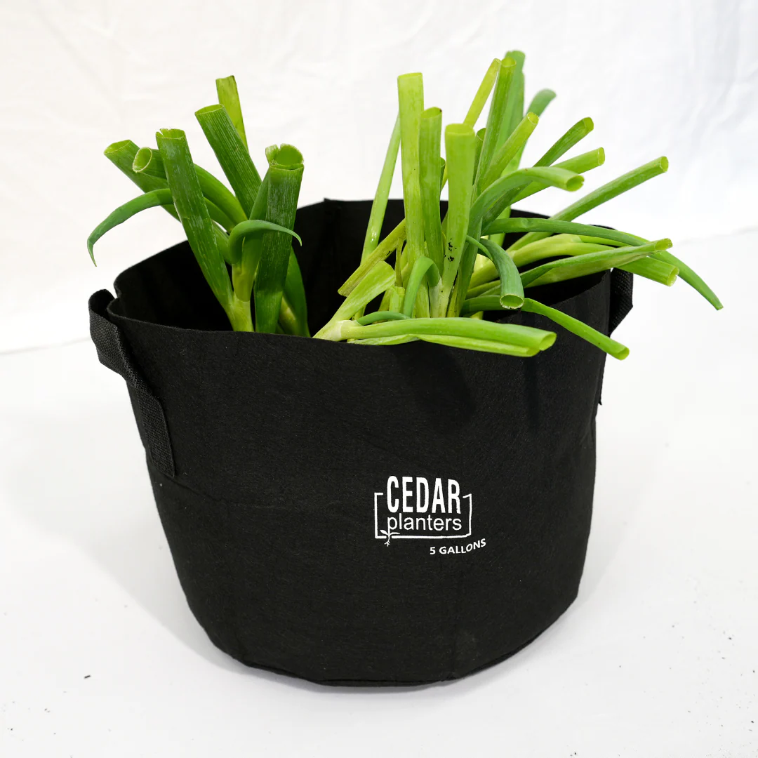Grow Bag (5 Gallon) - Image 3