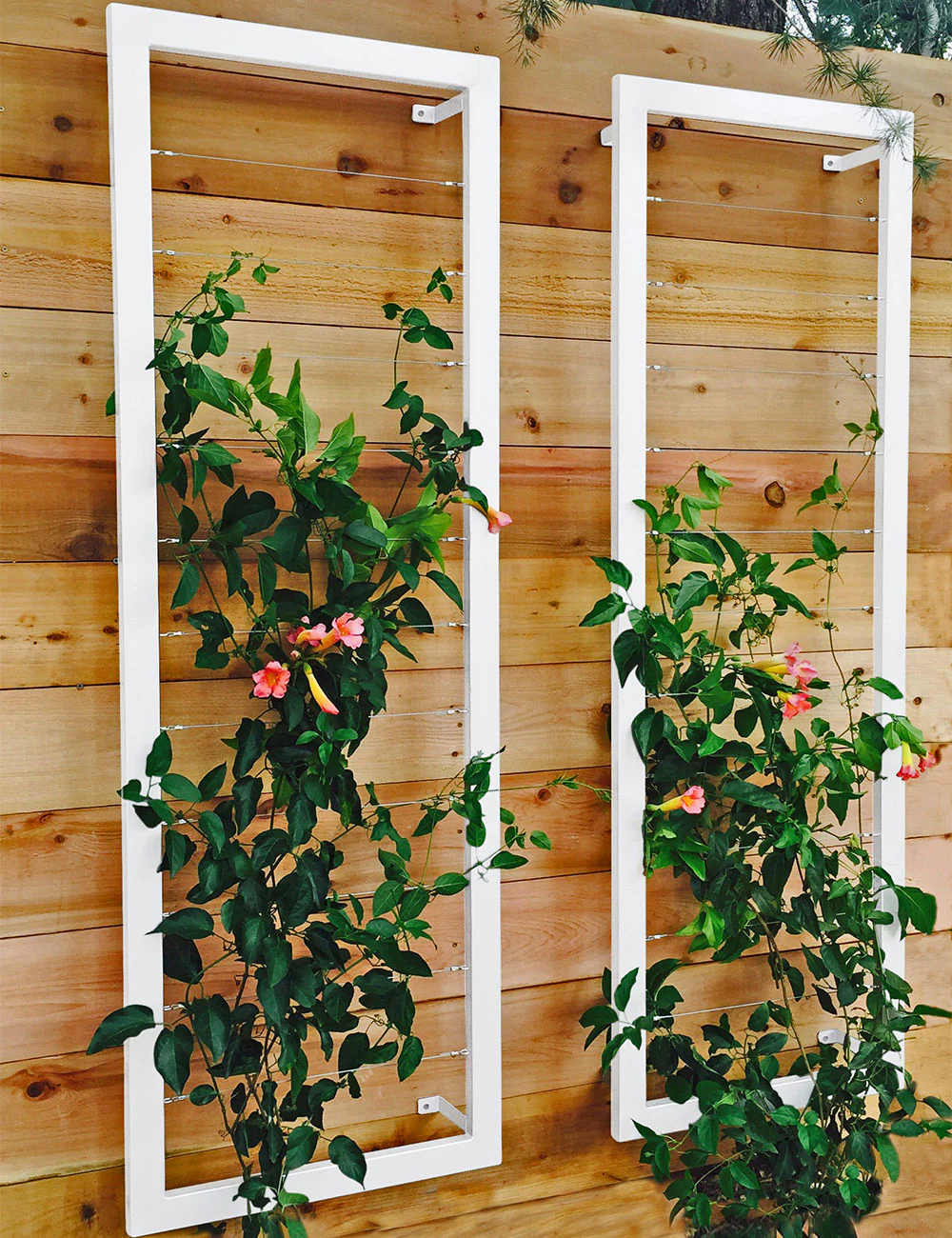 Ina Wall Trellis – Large - Image 10