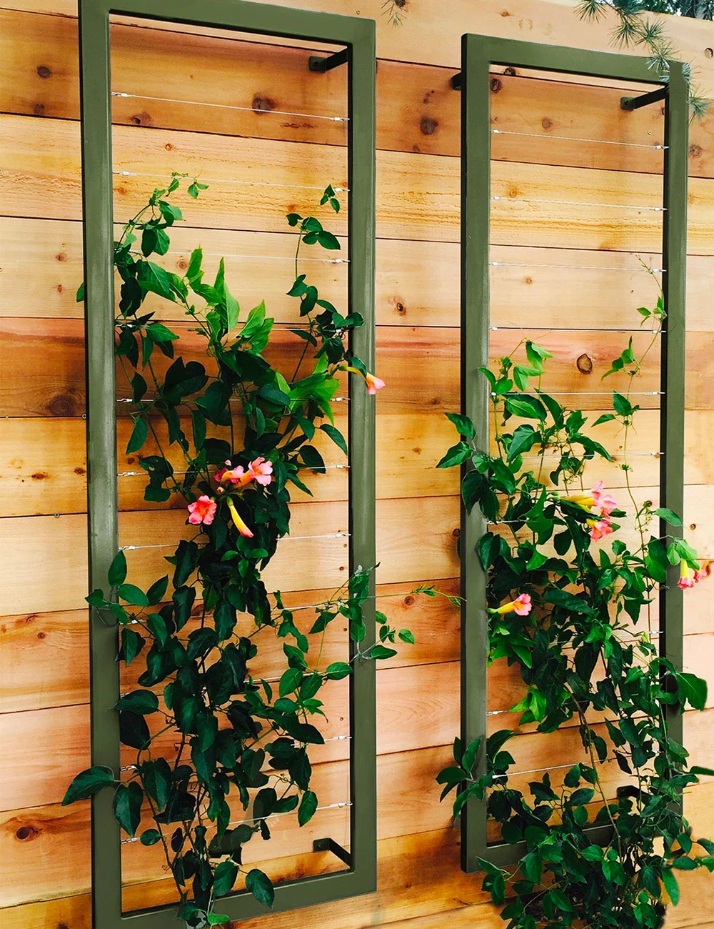 Ina Wall Trellis – Large - Image 11