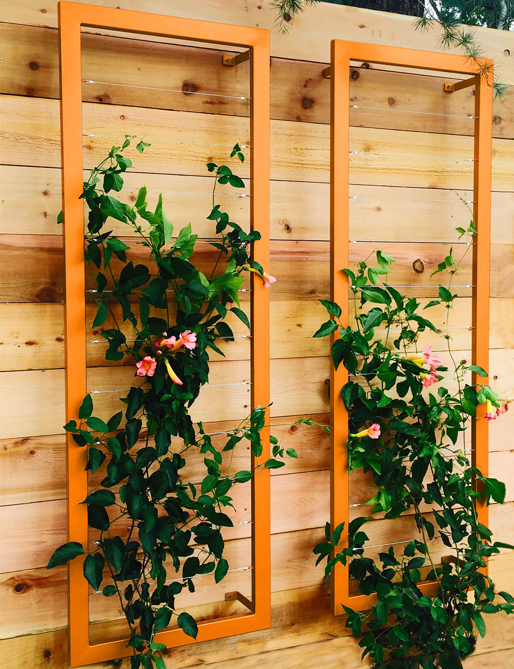 Ina Wall Trellis – Large - Image 12