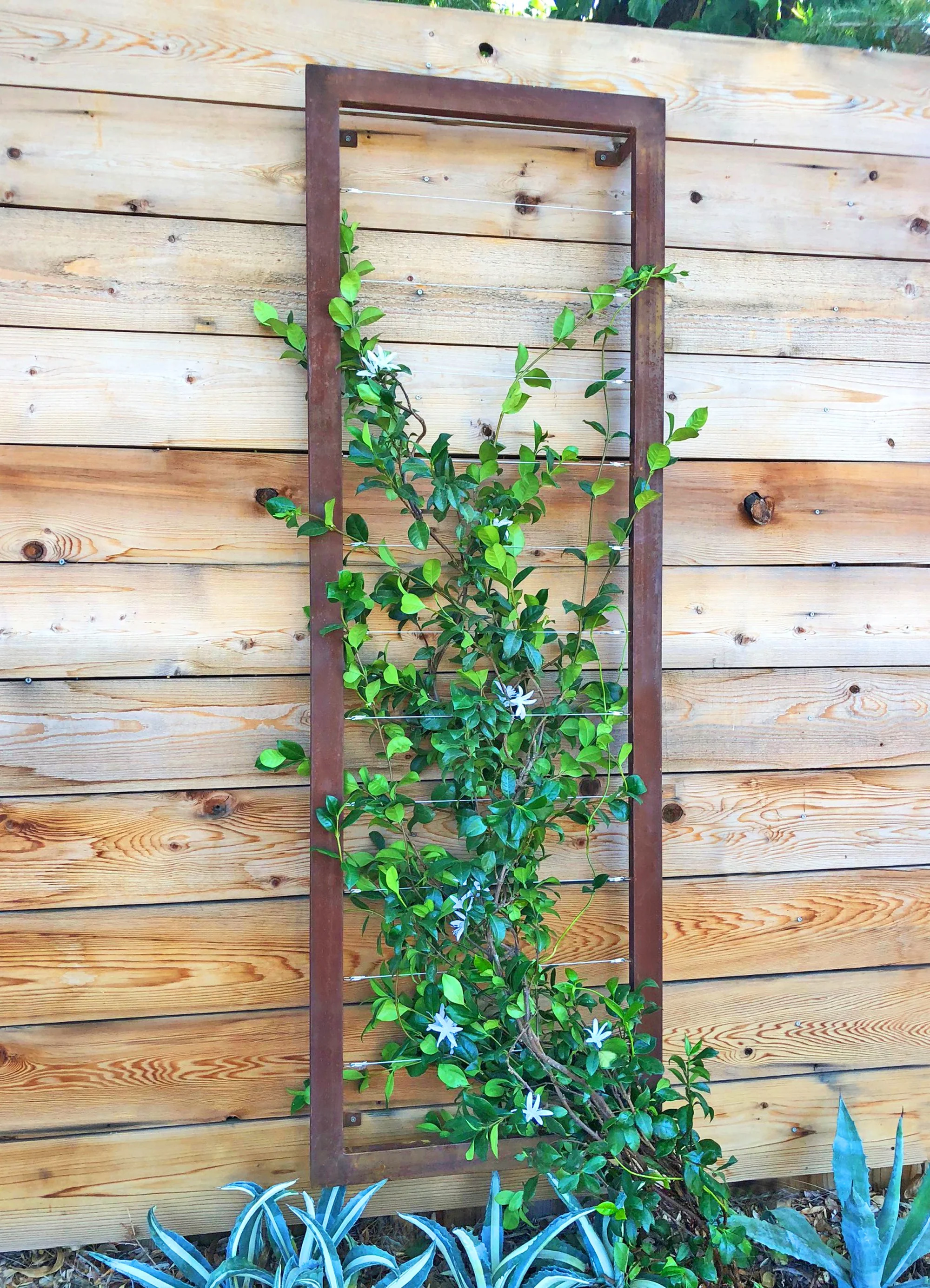 Ina Wall Trellis – Large - Image 3