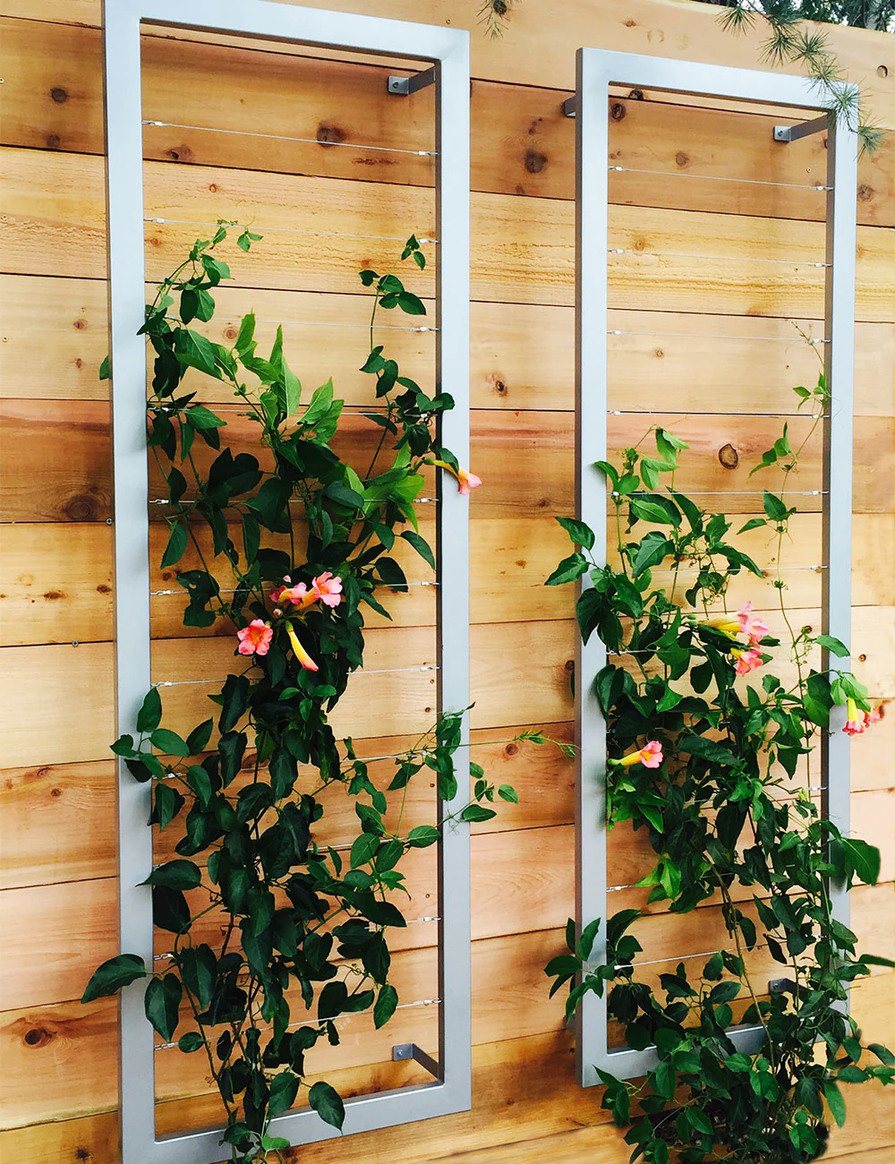 Ina Wall Trellis – Large - Image 4
