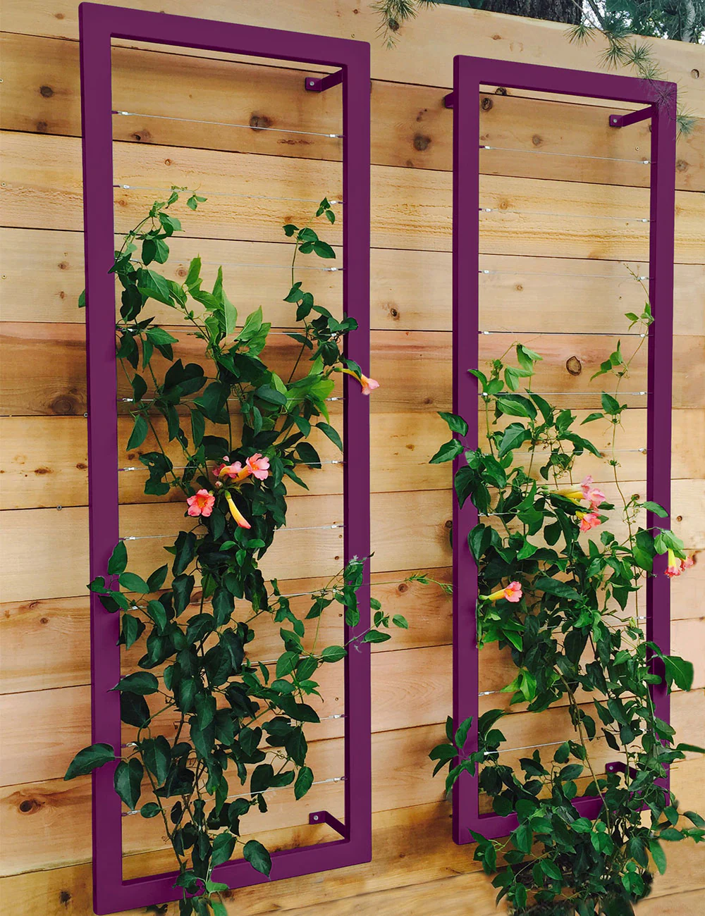Ina Wall Trellis – Large - Image 5