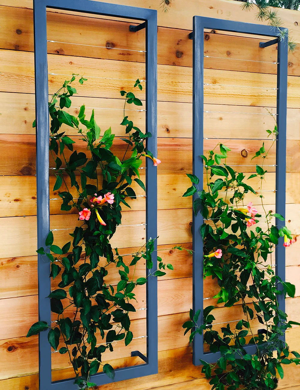 Ina Wall Trellis – Large - Image 6