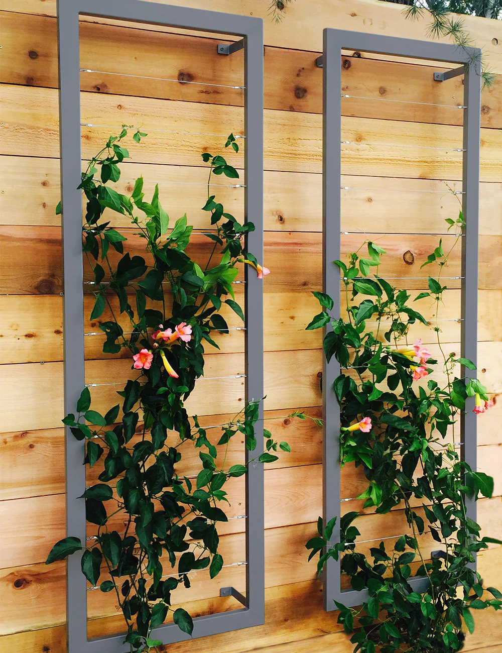 Ina Wall Trellis – Large - Image 7