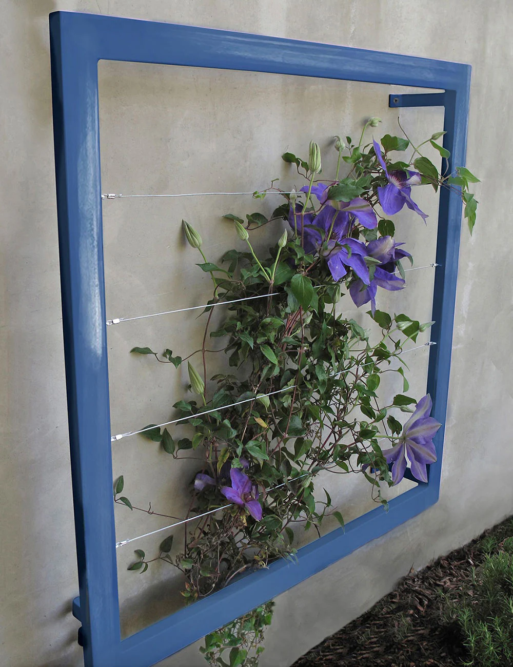 Ina Wall Trellis - Regular - Image 3