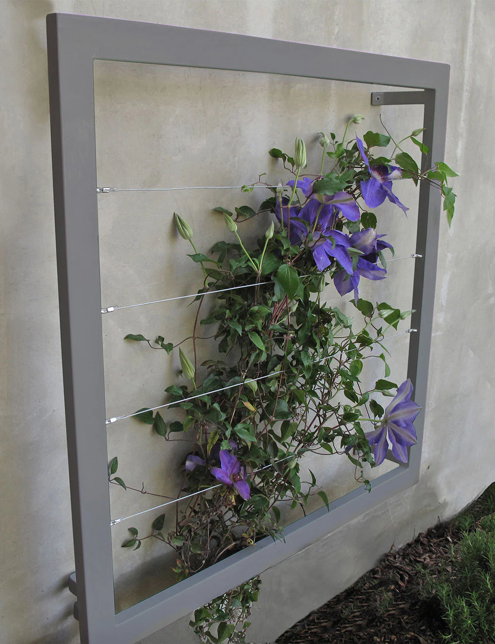 Ina Wall Trellis - Regular - Image 4