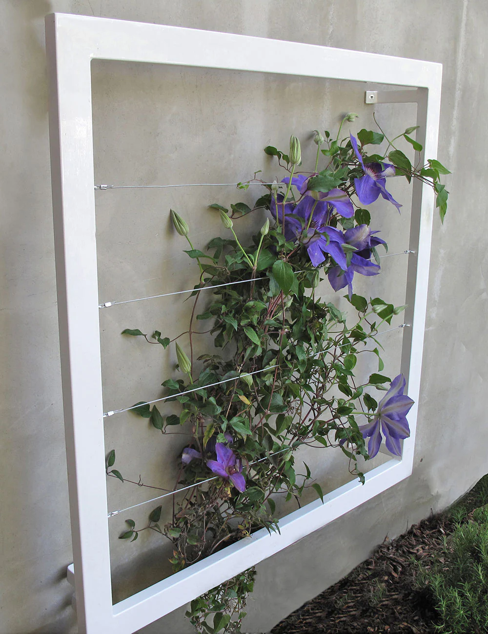 Ina Wall Trellis - Regular - Image 5