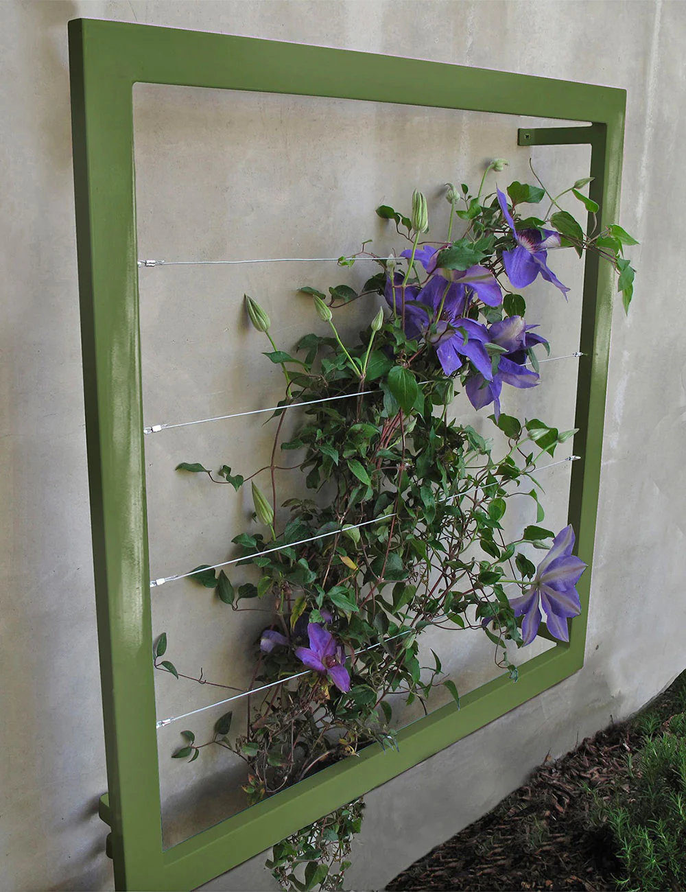 Ina Wall Trellis - Regular - Image 6