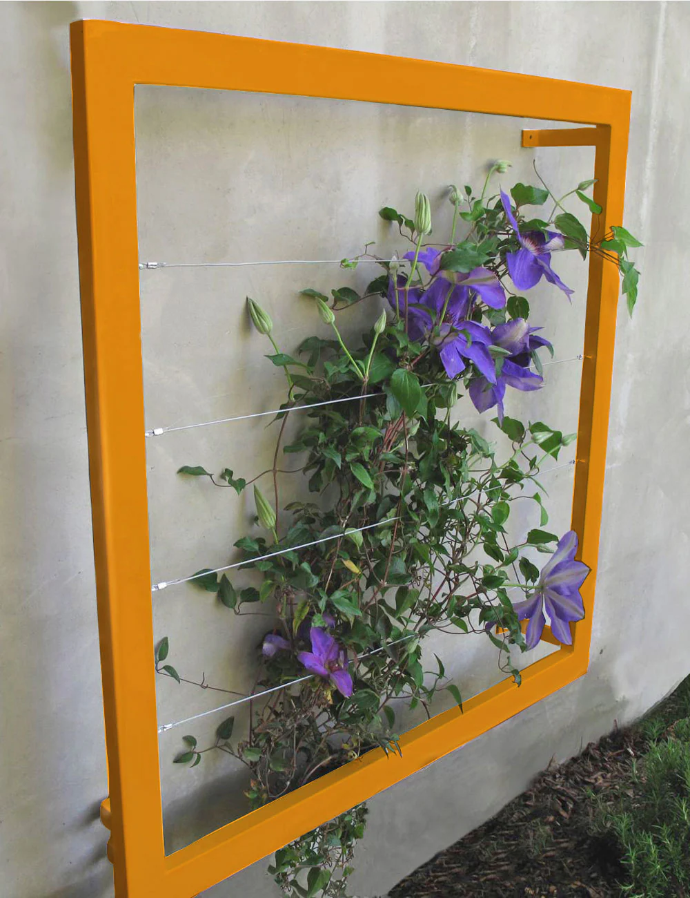 Ina Wall Trellis - Regular - Image 7
