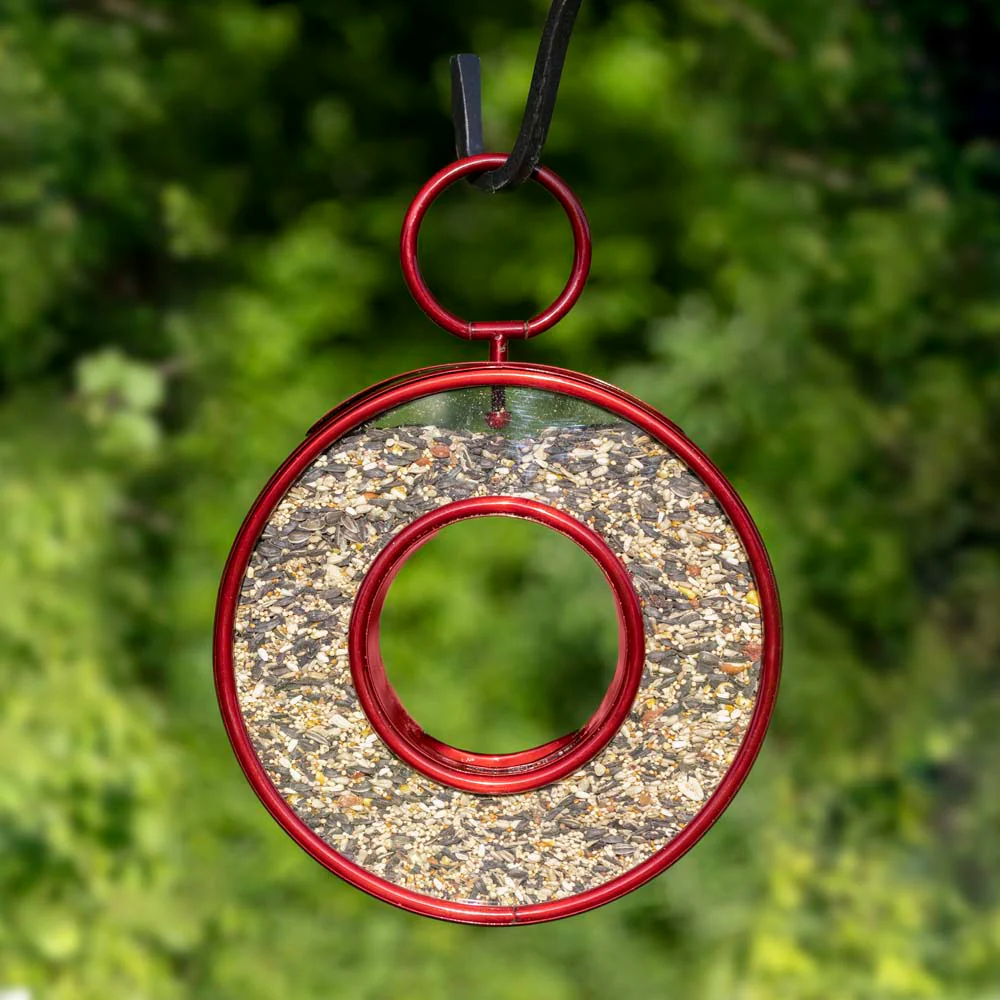 Just in Time Fly-Thru Bird Feeder - Image 5