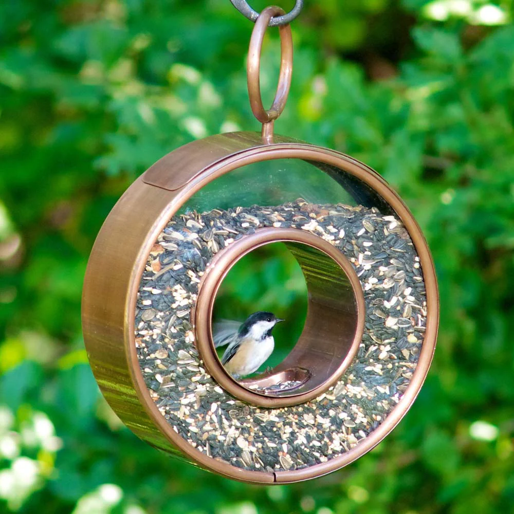 Just in Time Fly-Thru Bird Feeder - Image 8