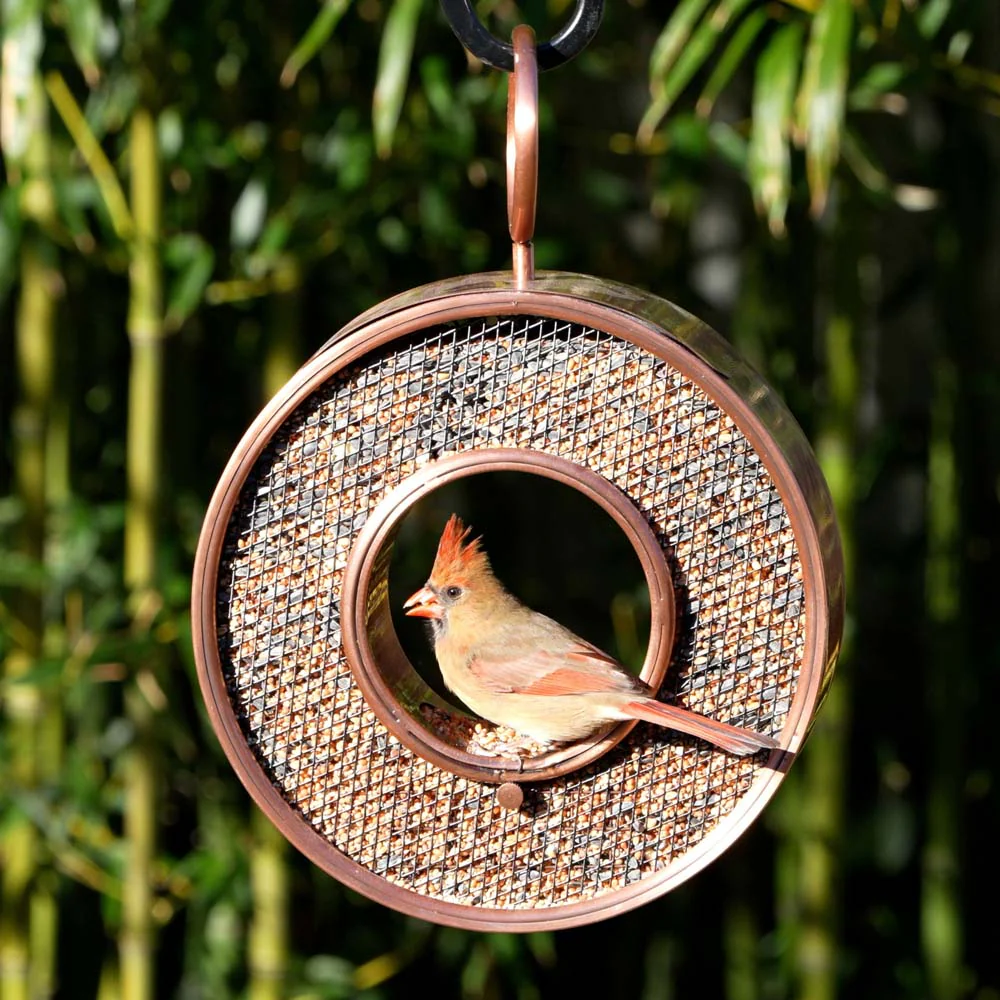 Just in Time Fly-Thru Copper Bird Feeder, Mesh Panels - Image 4