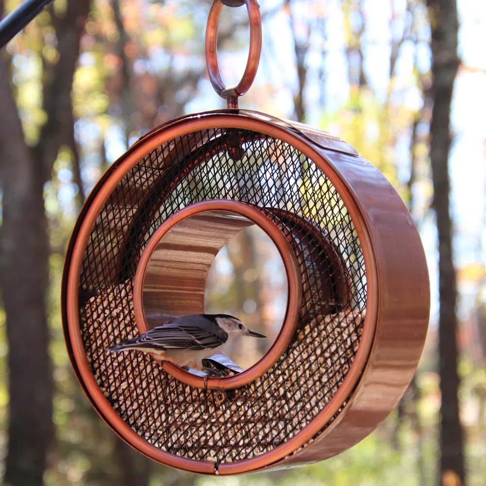 Just in Time Fly-Thru Copper Bird Feeder, Mesh Panels - Image 5