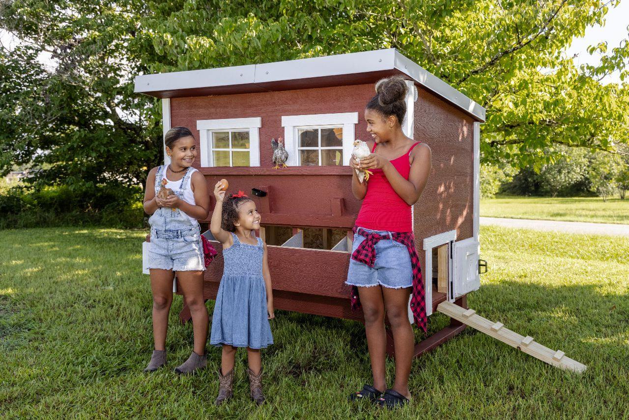 Large Chicken Coop - Up to 15 Chickens - Image 10