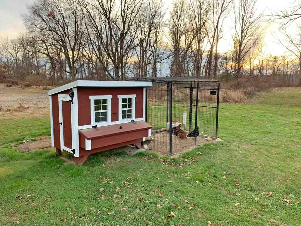 Large Chicken Coop - Up to 15 Chickens - Image 11