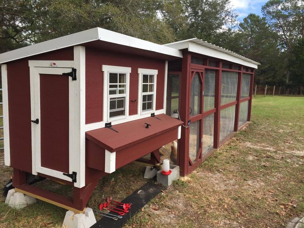 Large Chicken Coop - Up to 15 Chickens - Image 12