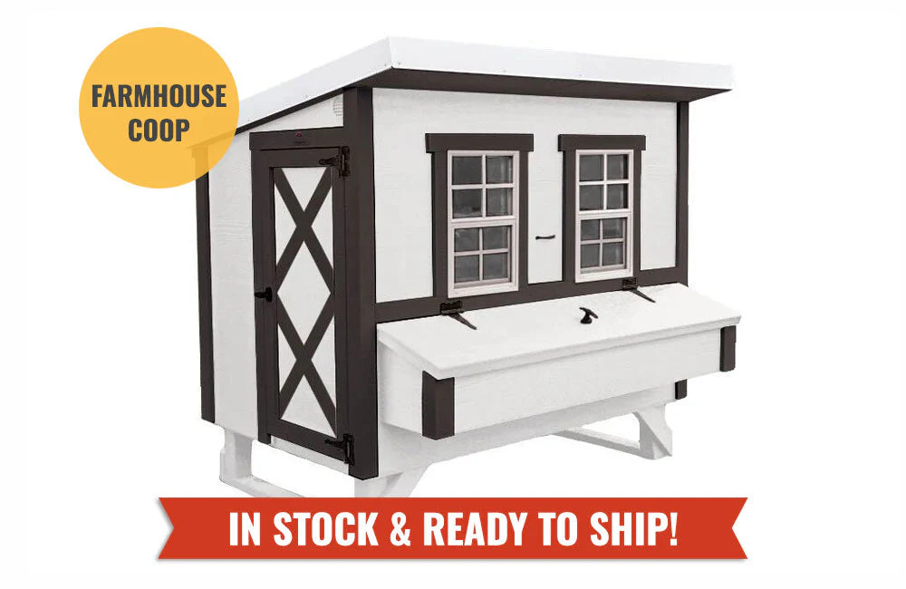 Large Chicken Coop - Up to 15 Chickens - Image 16