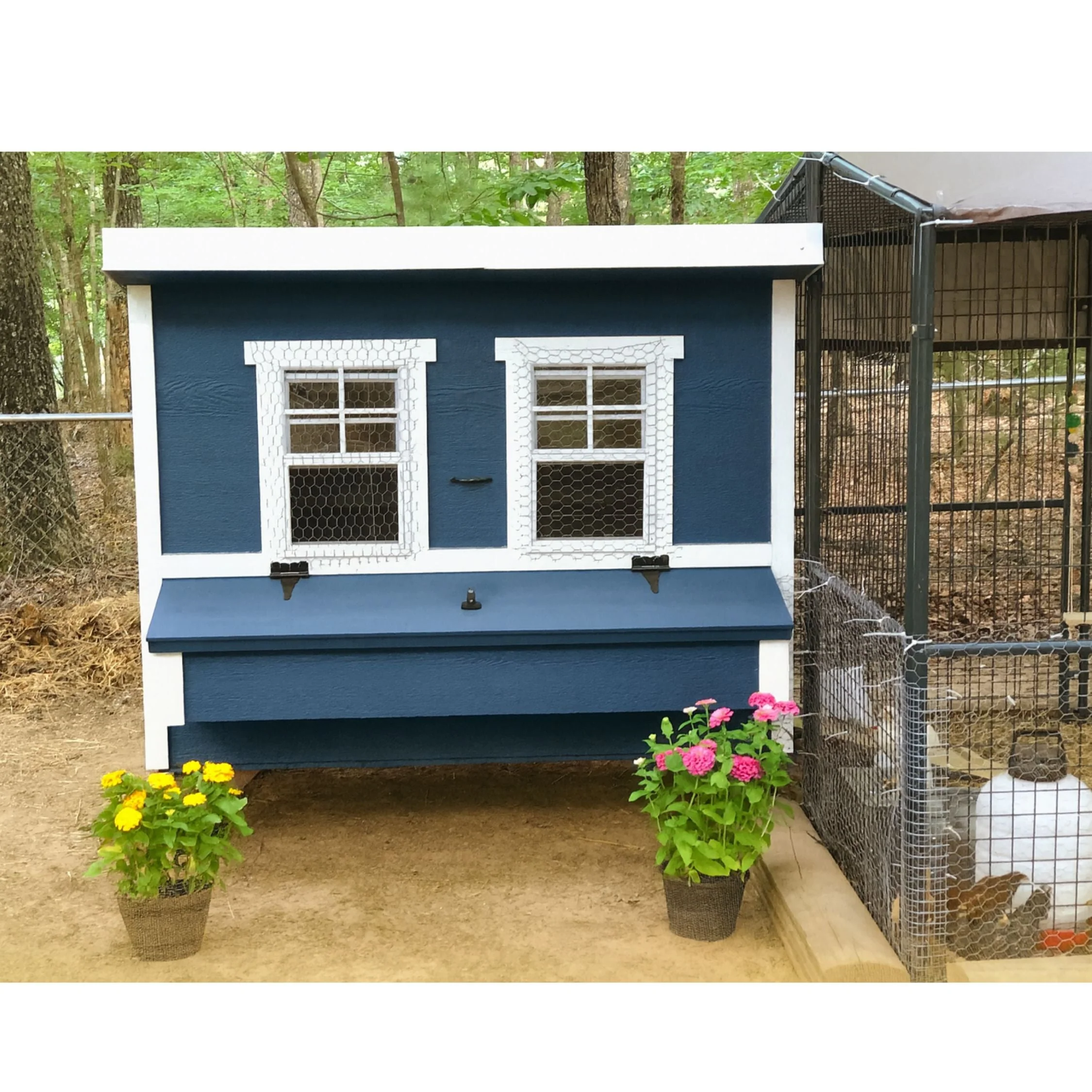 Large Chicken Coop - Up to 15 Chickens - Image 56