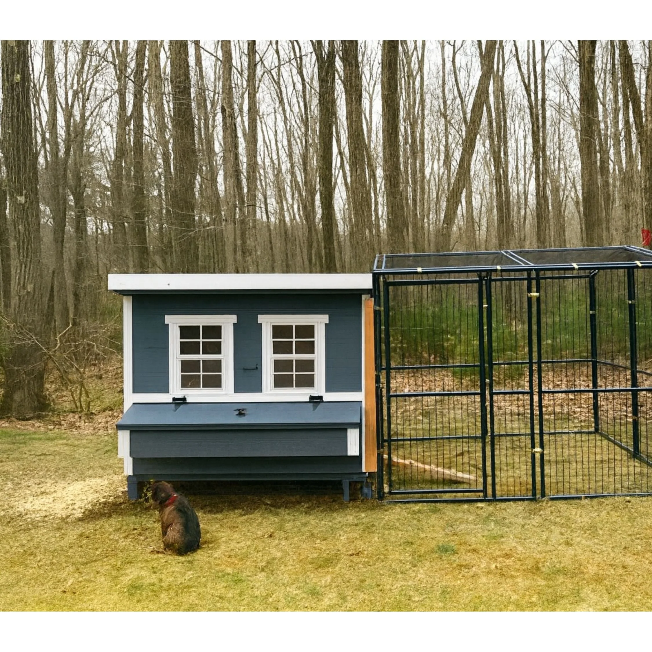 Large Chicken Coop - Up to 15 Chickens - Image 57
