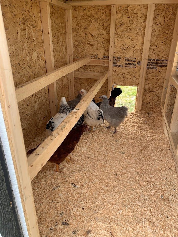Large Chicken Coop - Up to 15 Chickens - Image 61