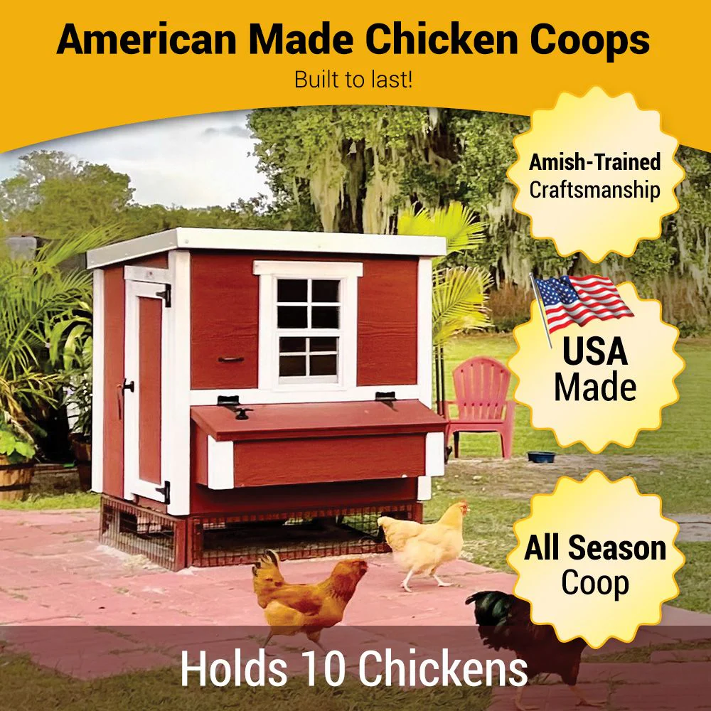 Medium Chicken Coop - Up to 10 Chickens - Image 11