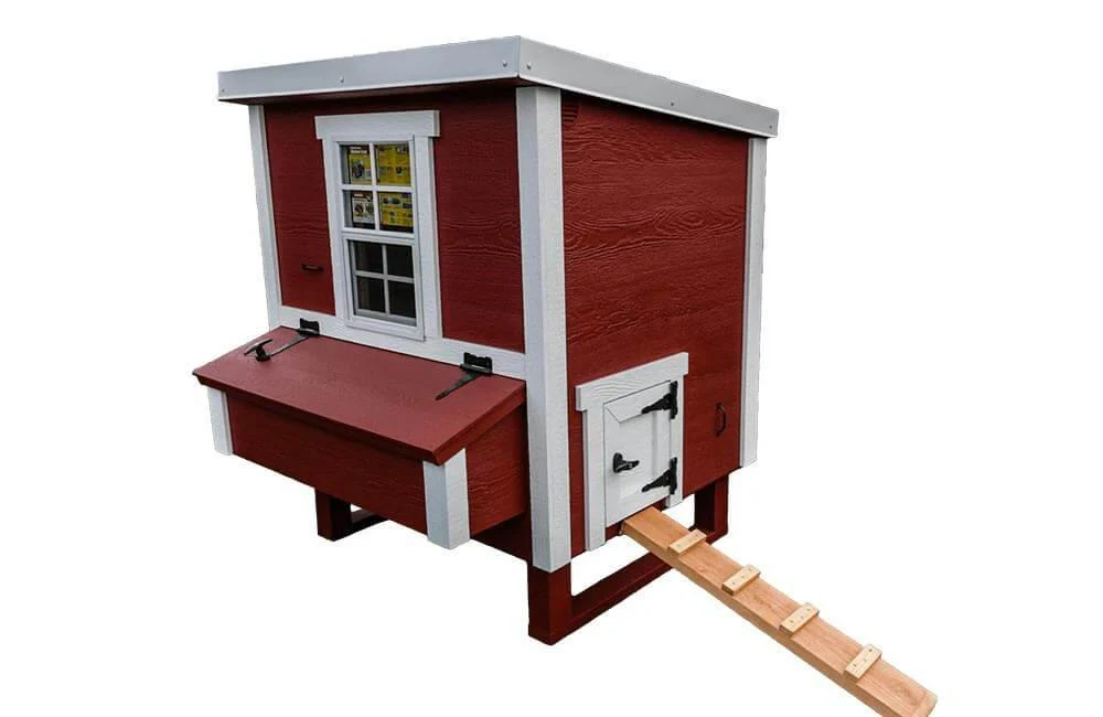 Medium Chicken Coop - Up to 10 Chickens - Image 12