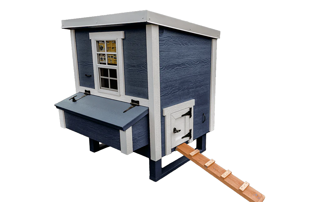 Medium Chicken Coop - Up to 10 Chickens - Image 15