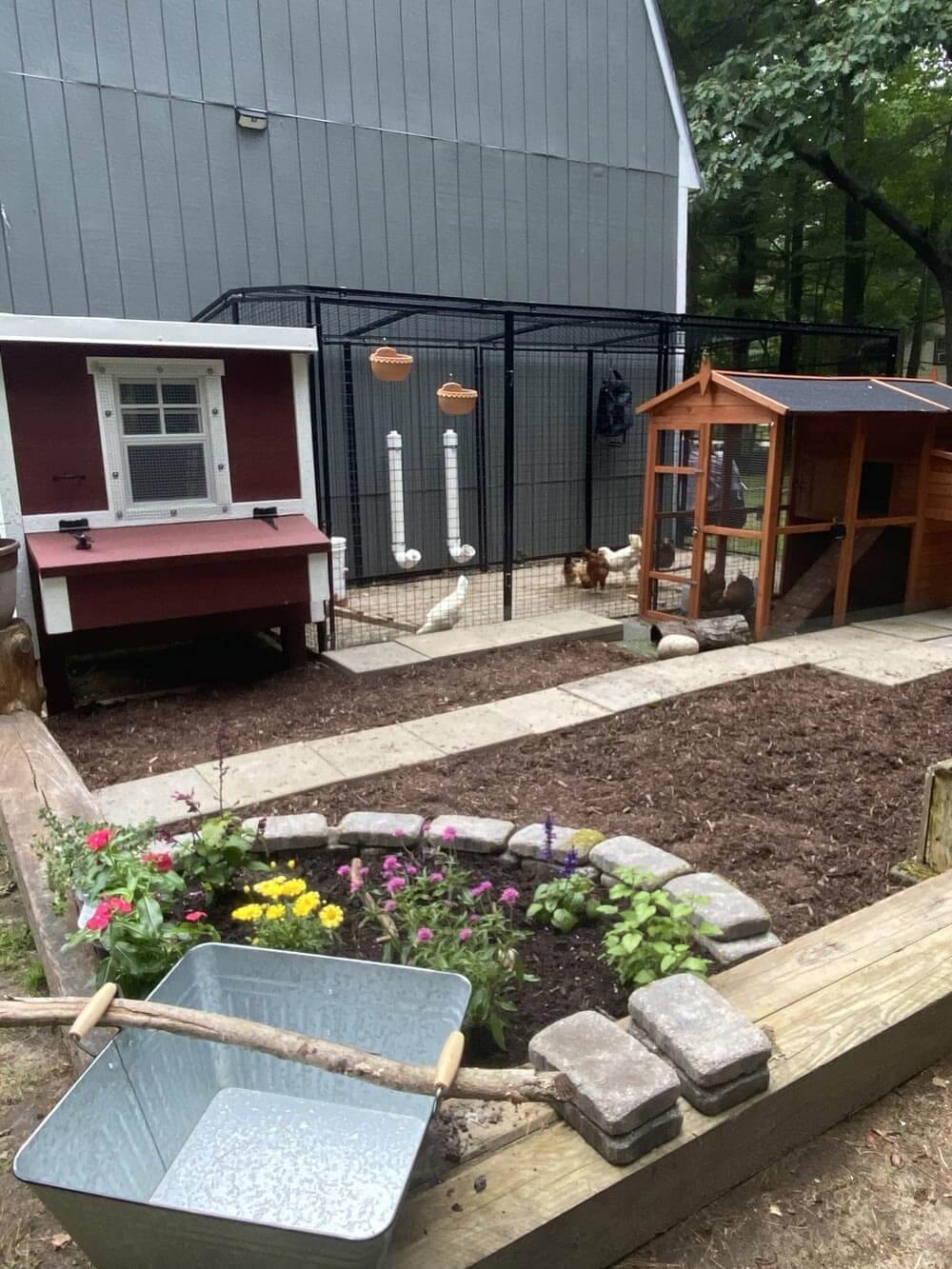 Medium Chicken Coop - Up to 10 Chickens - Image 18