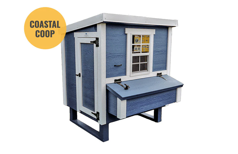 Medium Chicken Coop - Up to 10 Chickens - Image 24