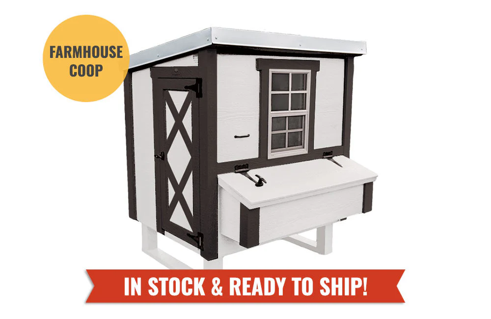 Medium Chicken Coop - Up to 10 Chickens - Image 25