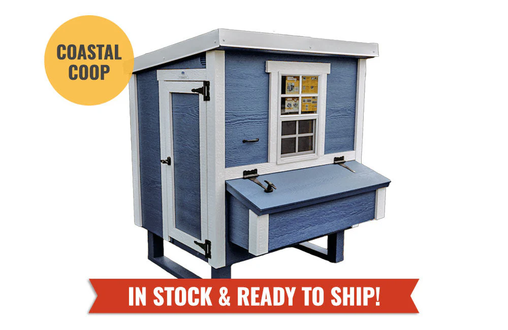 Medium Chicken Coop - Up to 10 Chickens - Image 27