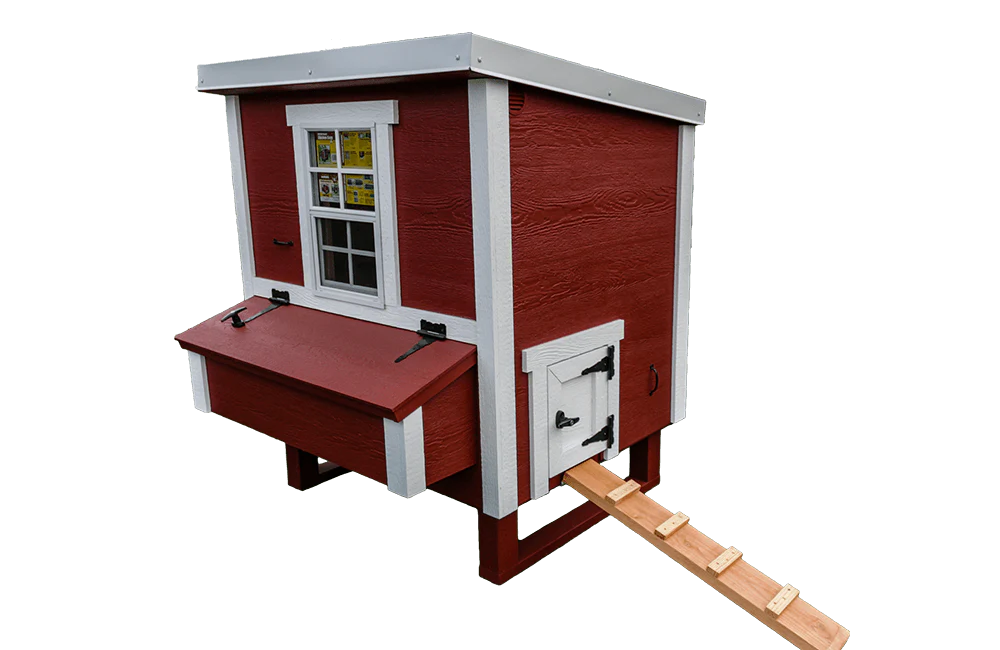 Medium Chicken Coop - Up to 10 Chickens - Image 40