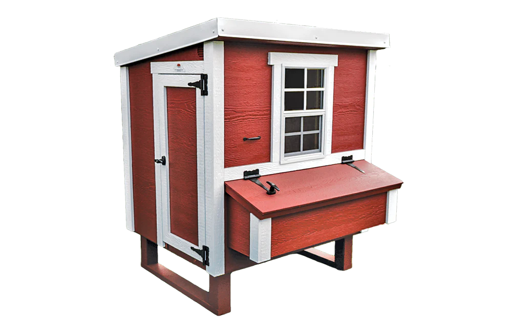 Medium Chicken Coop - Up to 10 Chickens - Image 41