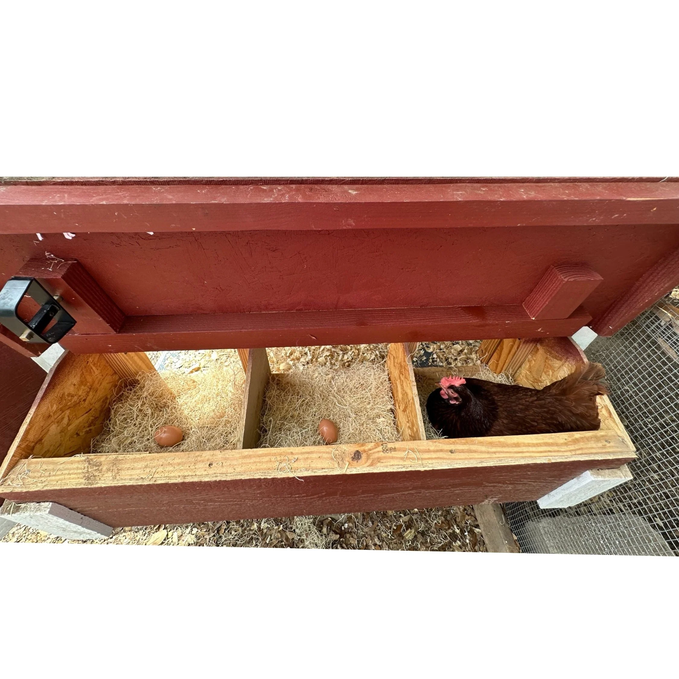 Medium Chicken Coop - Up to 10 Chickens - Image 47