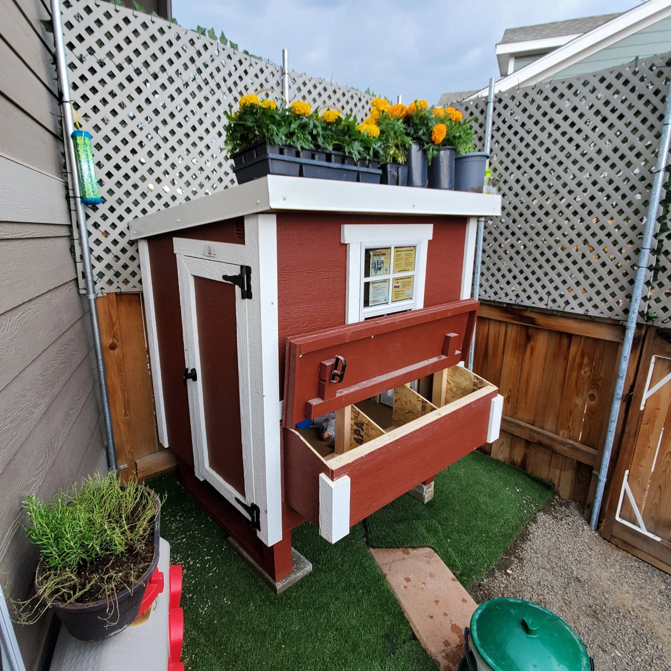 Medium Chicken Coop - Up to 10 Chickens - Image 50