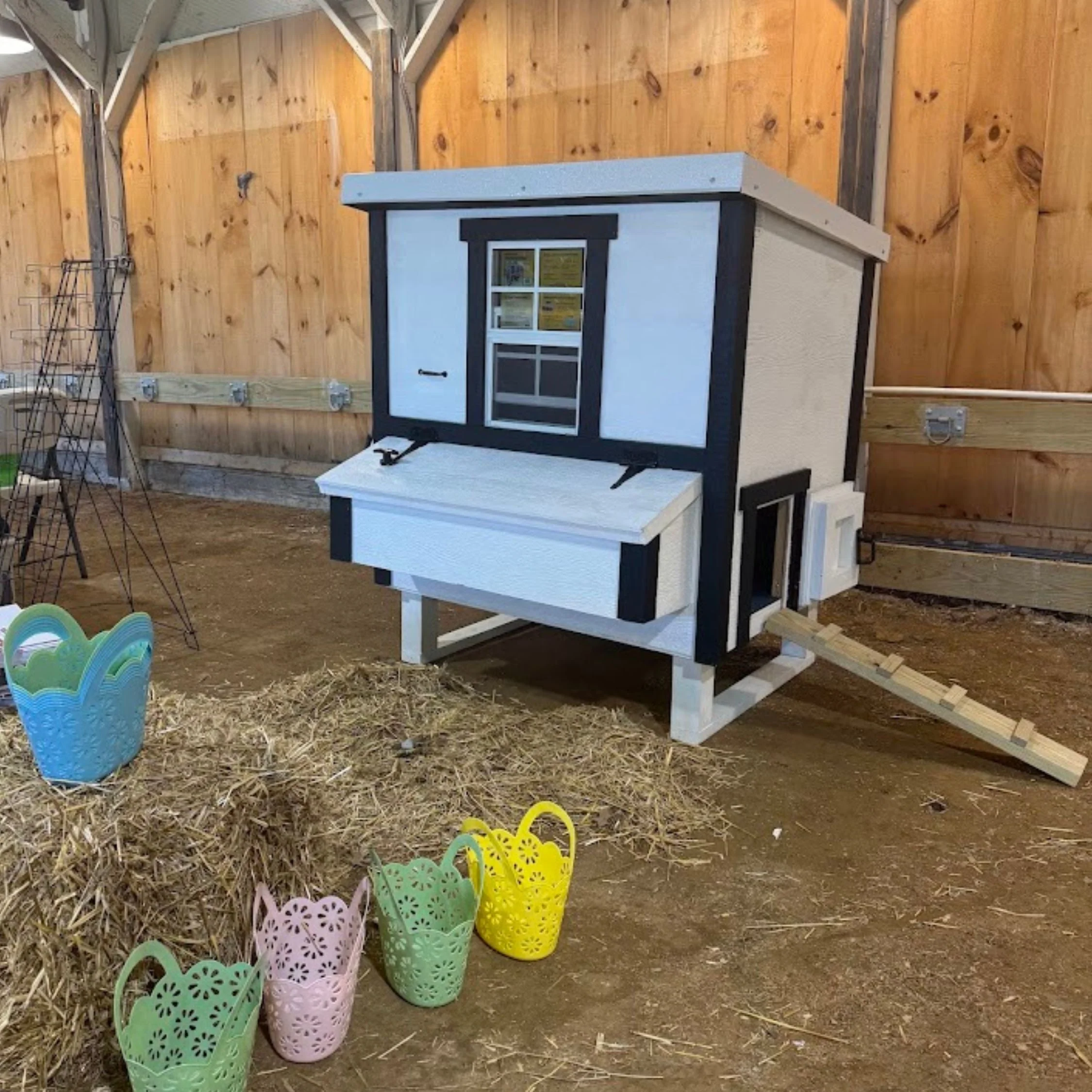 Medium Chicken Coop - Up to 10 Chickens - Image 52