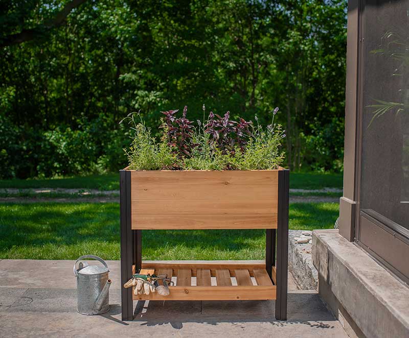 Mezza 18x30 Sprout Farm - Image 6