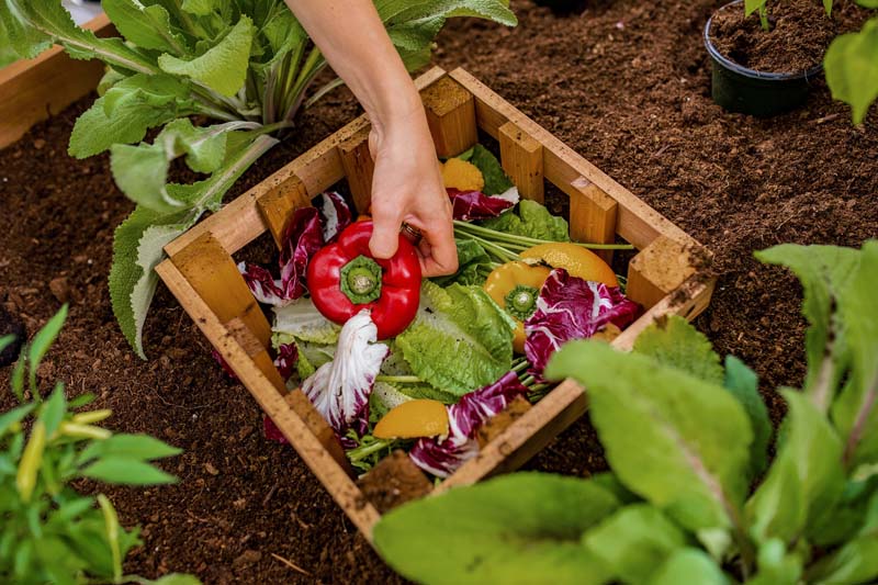 Mezza 3x5 Keyhole Composting Garden - Image 9