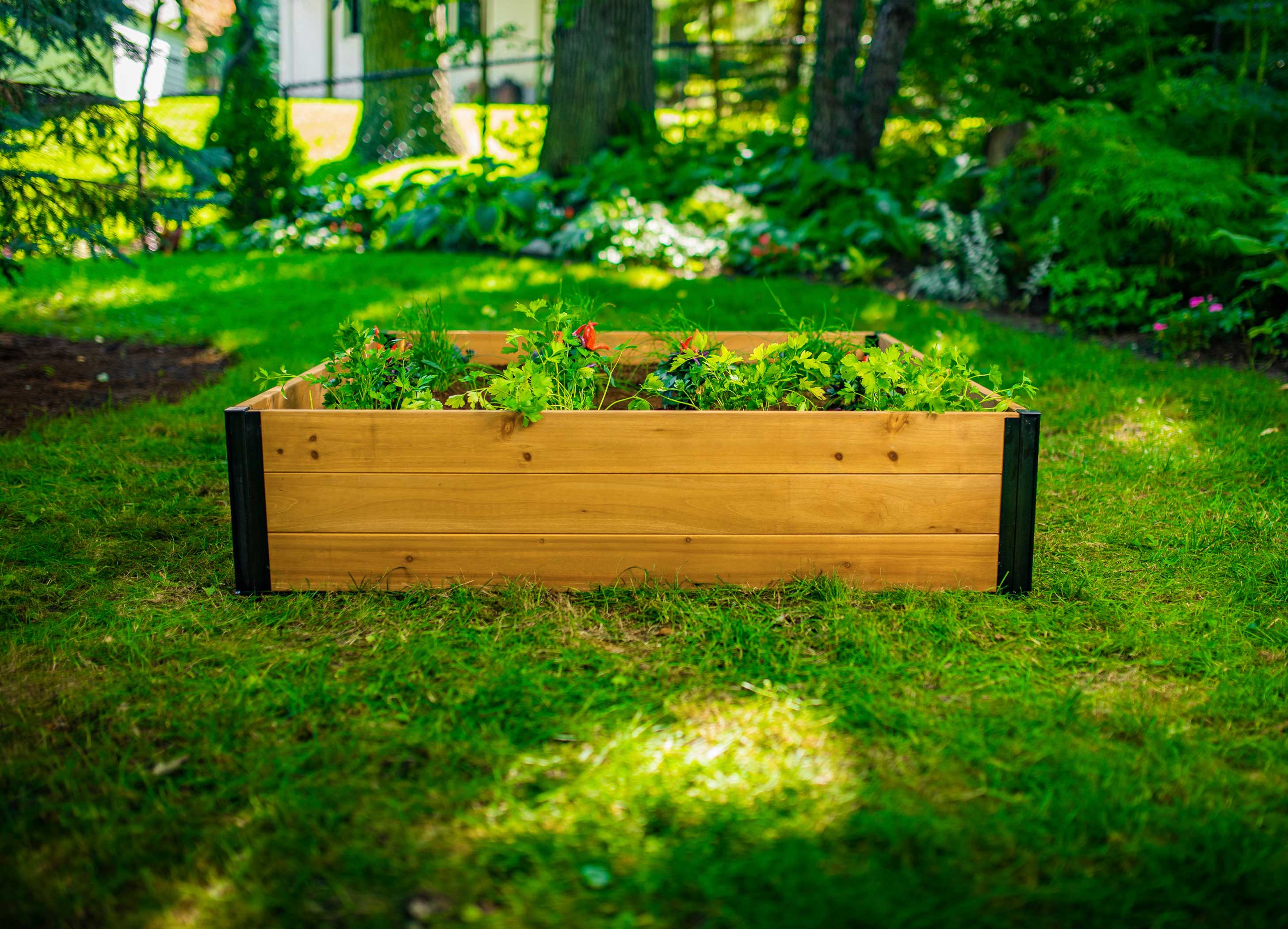 Mezza 4x4x11 Garden Bed - Image 5