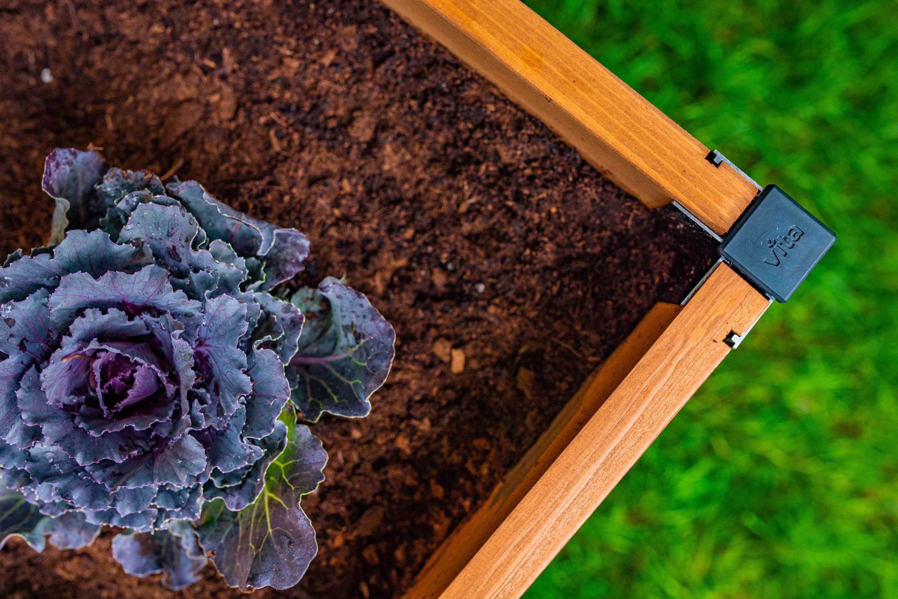 Mezza 4x4x11 Garden Bed - Image 6