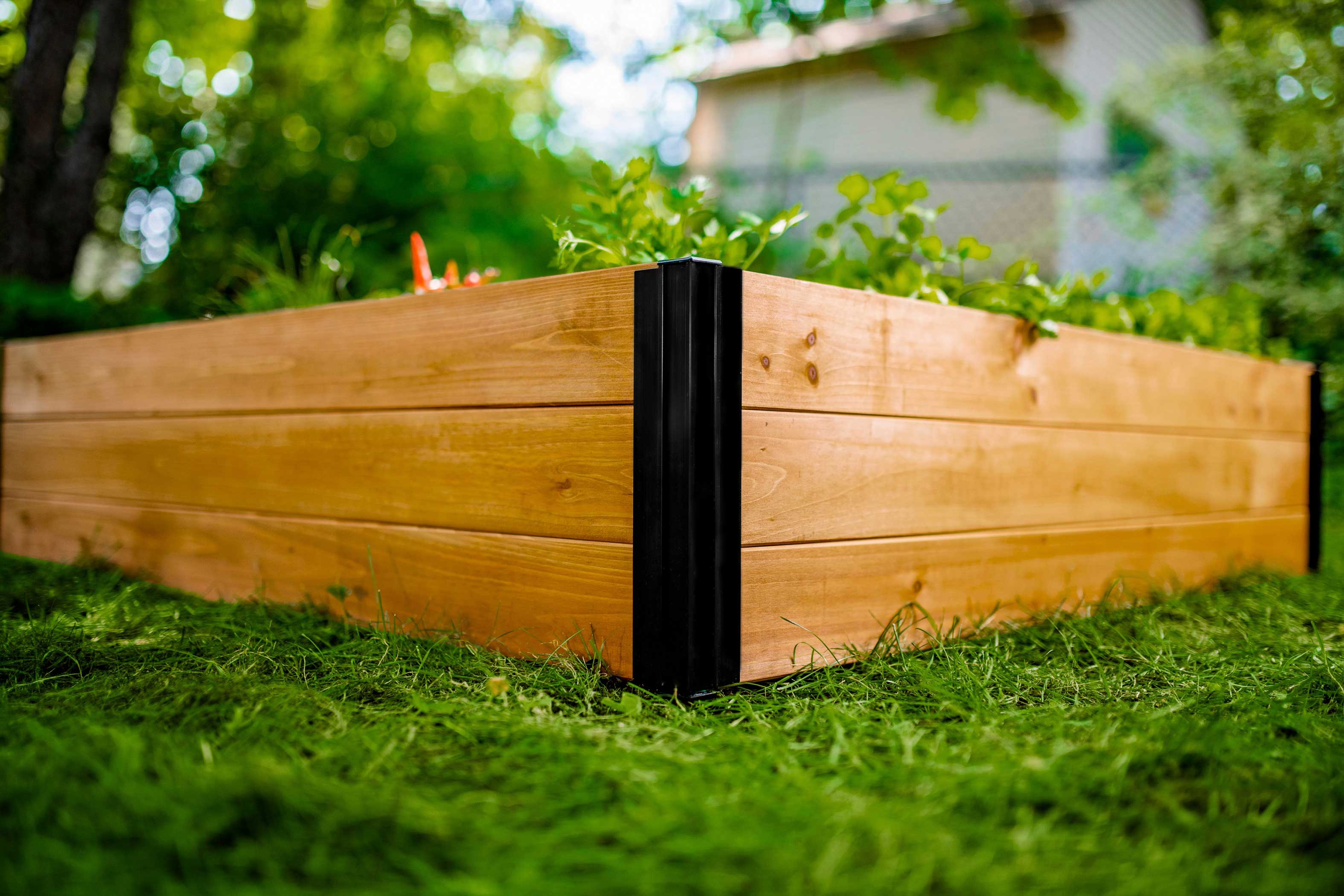 Mezza 4x4x11 Garden Bed - Image 7