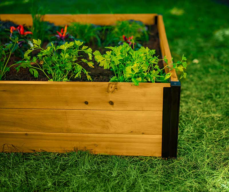Mezza 4x4x11 Garden Bed - Image 8